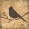 Bird Silhouette II Poster Print by Patricia Pinto - Item # VARPDX7131